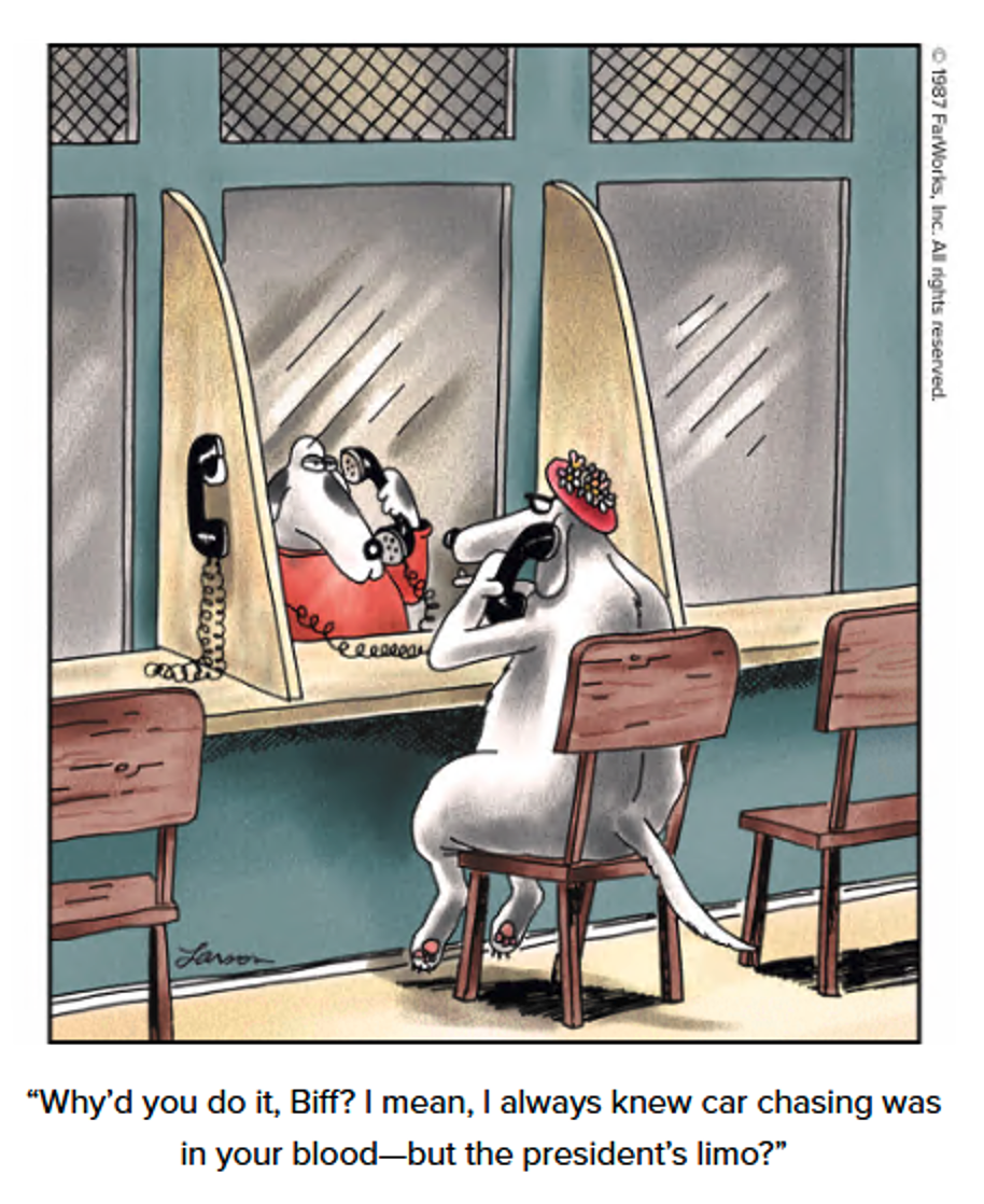 the-dogs-log-0909